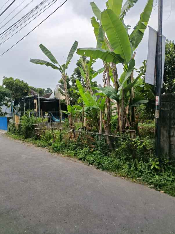 dijual tanah kayen blotan