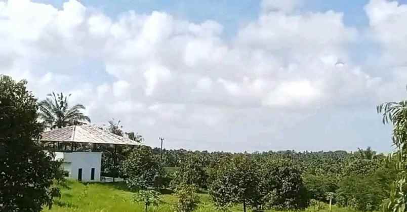 dijual tanah kebun durian murah tempat strategis