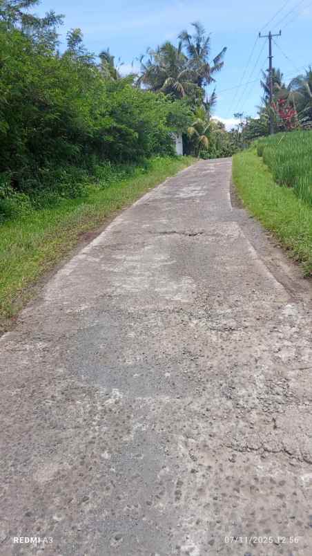 dijual tanah kebun durian murah tempat strategis