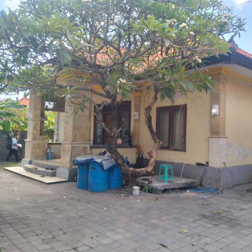 dijual tanah kepaon pemogan