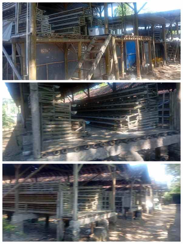 dijual tanah klaten jateng