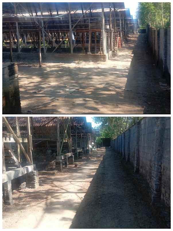 dijual tanah klaten jateng