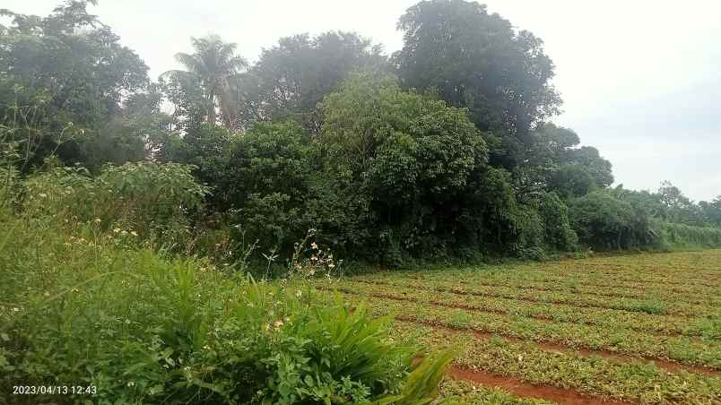 dijual tanah komersil setu bekasi