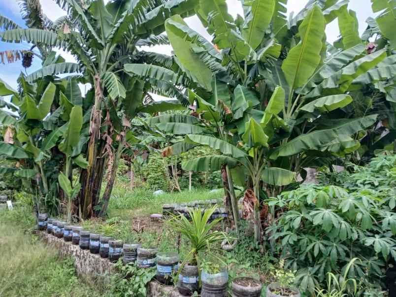 dijual tanah komplek cigadung selatan