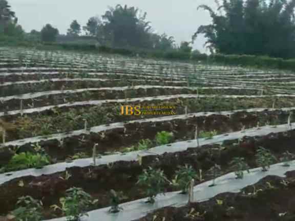 dijual tanah kosong di jalan kubucolia seberaya karo