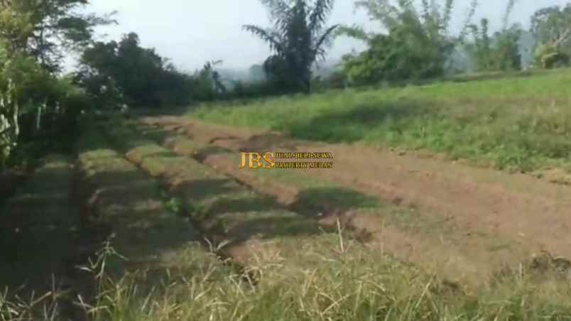 dijual tanah kosong di jalan kubucolia seberaya karo