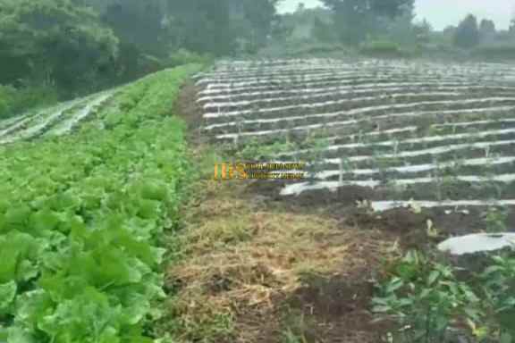 dijual tanah kosong di jalan kubucolia seberaya karo