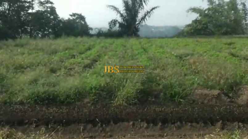 dijual tanah kosong di jalan kubucolia seberaya karo