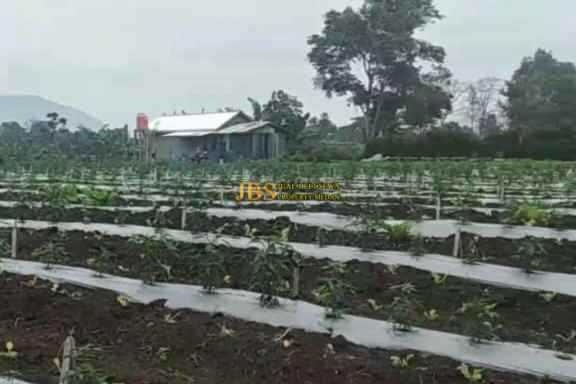 dijual tanah kosong di jalan kubucolia seberaya karo