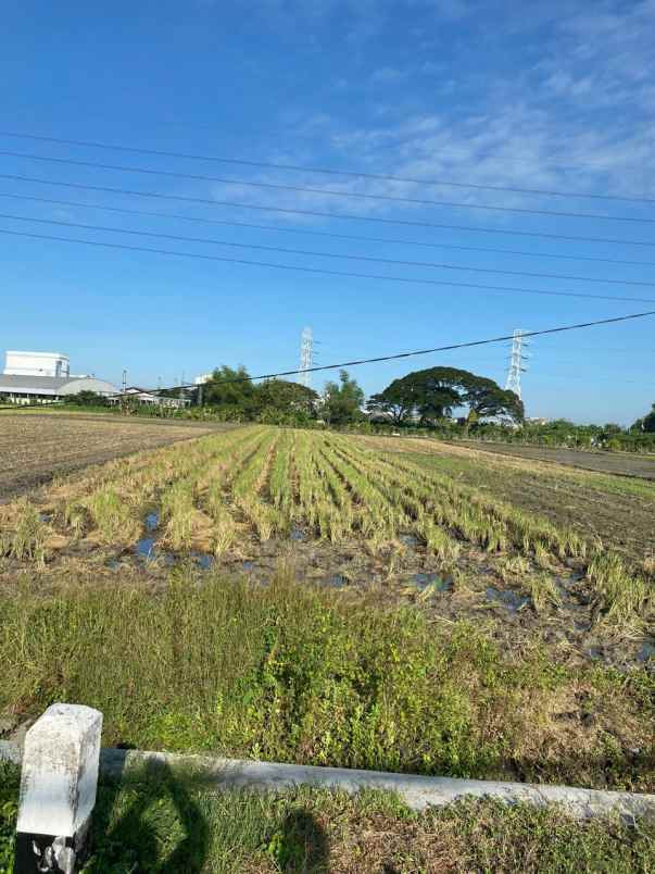 dijual tanah lengkong jatigedong