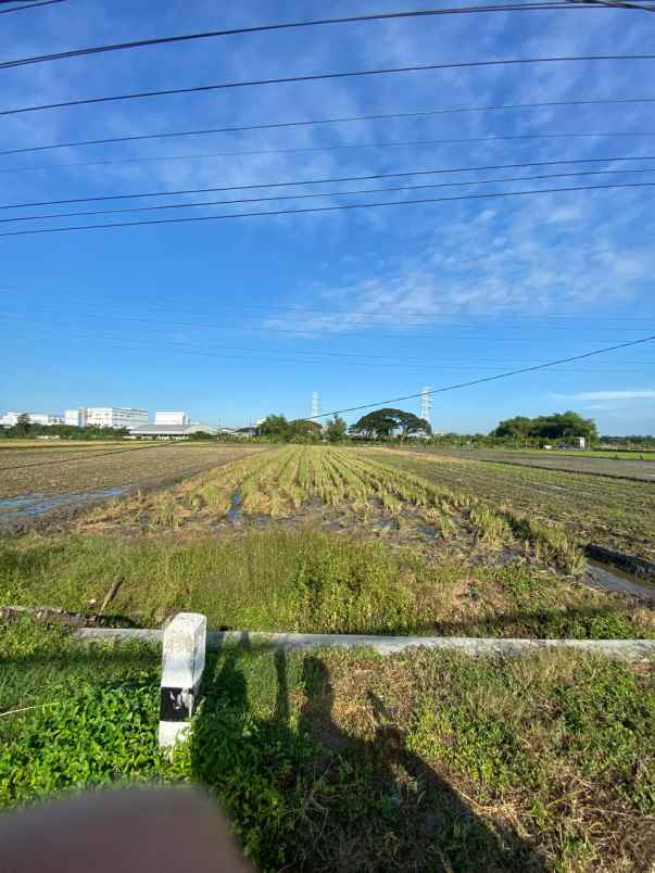 dijual tanah lengkong jatigedong