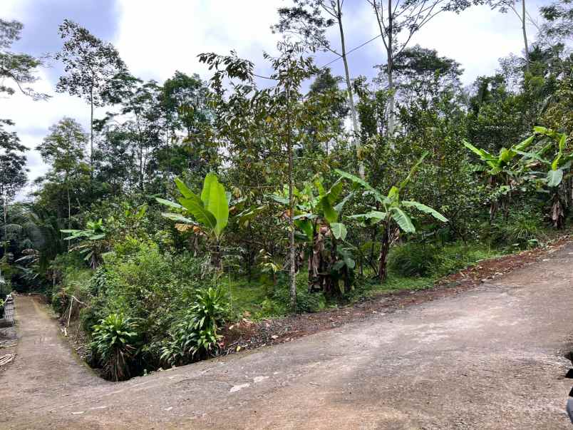 dijual tanah ngargoyoso karanganyar