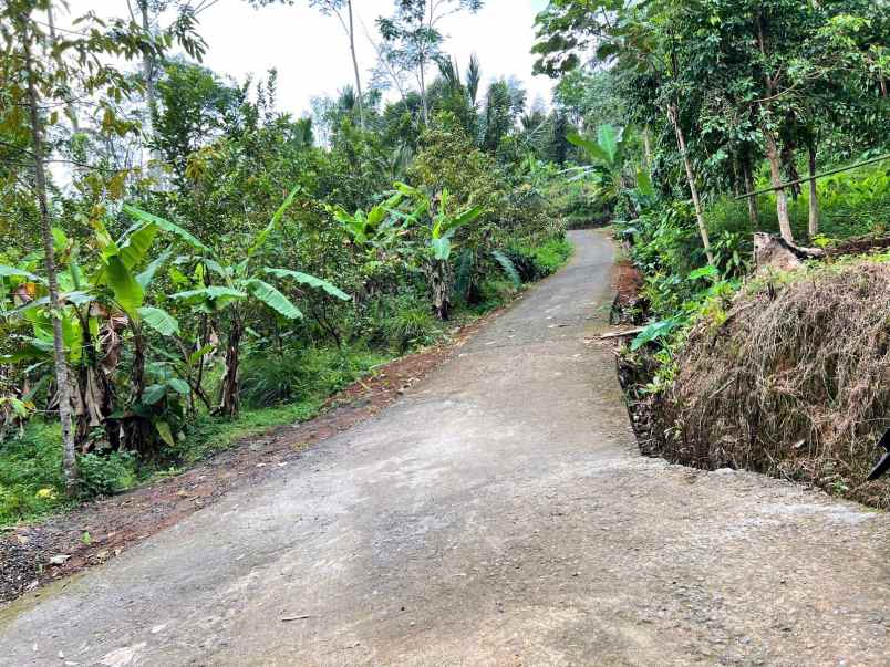 dijual tanah ngargoyoso karanganyar