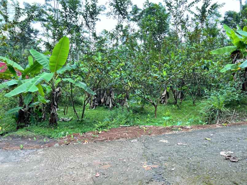 dijual tanah ngargoyoso karanganyar