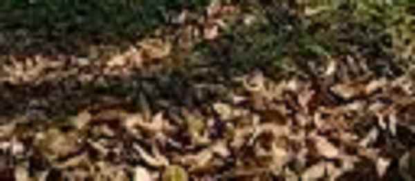 dijual tanah nginden