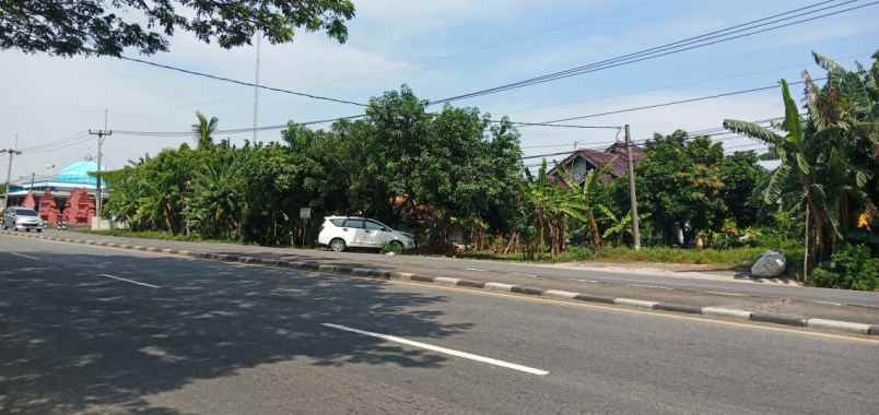 dijual tanah pangkalan losarang indramayu