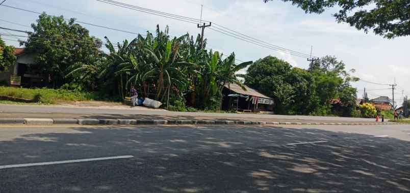 dijual tanah pangkalan losarang indramayu