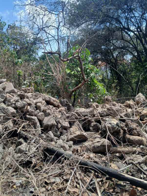 dijual tanah pantai balangan