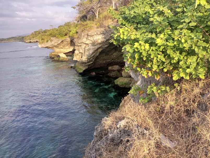 dijual tanah pinggir pantai wee wella