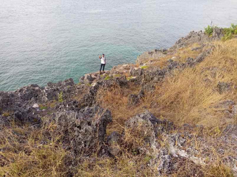 dijual tanah pinggir pantai wee wella