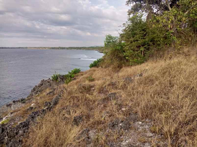 dijual tanah pinggir pantai wee wella