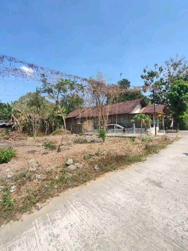 dijual tanah pleret