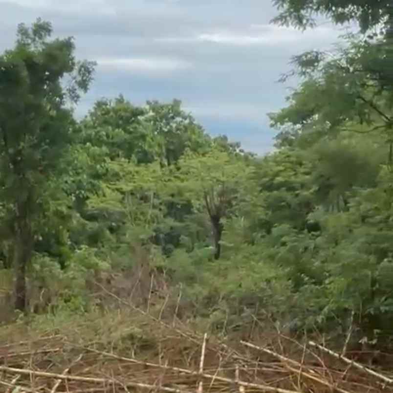 dijual tanah puja mandala