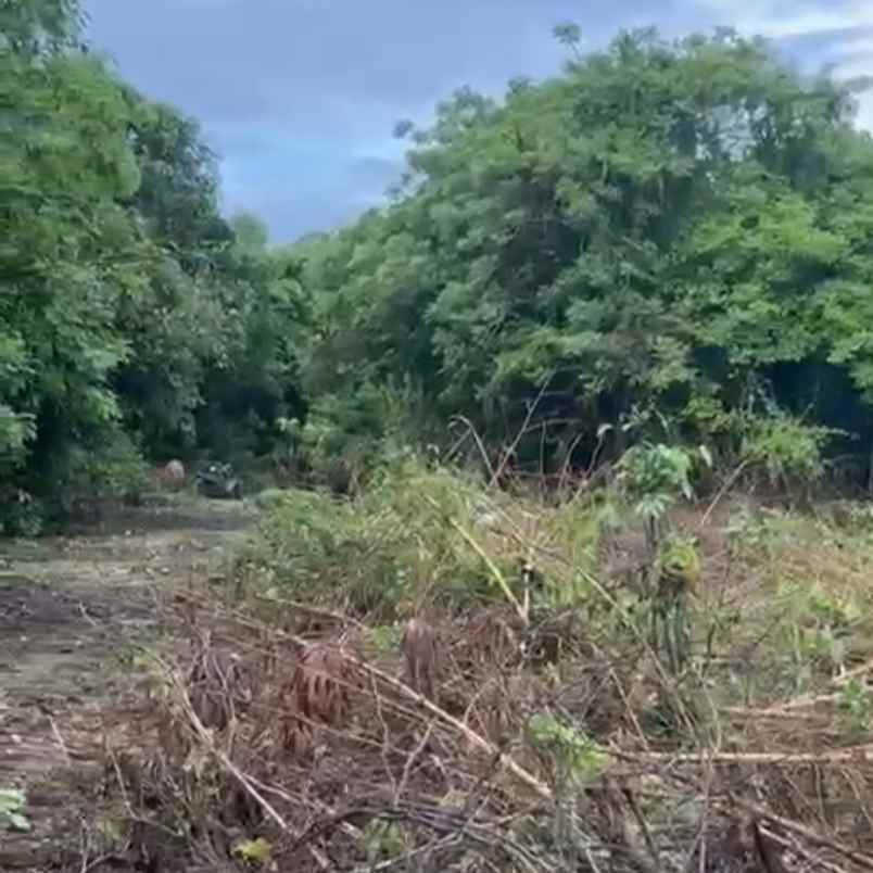 dijual tanah puja mandala