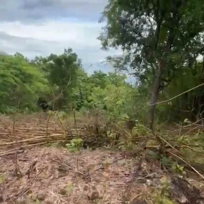 dijual tanah puja mandala