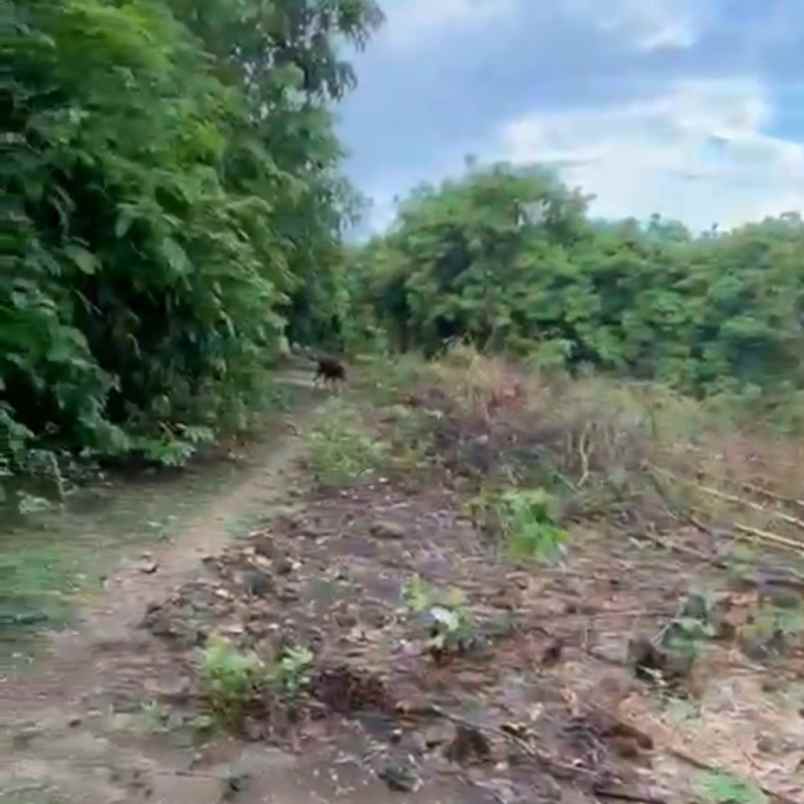 dijual tanah puja mandala