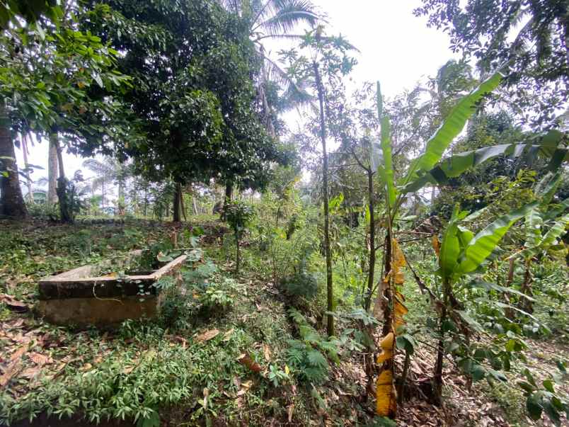 dijual tanah pupuan tabanan bali