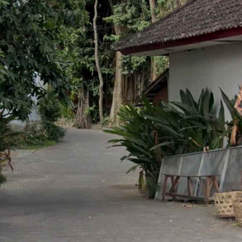 dijual tanah raya canggu