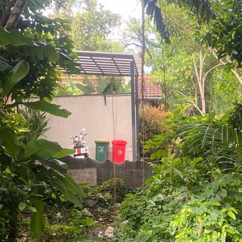 dijual tanah raya canggu