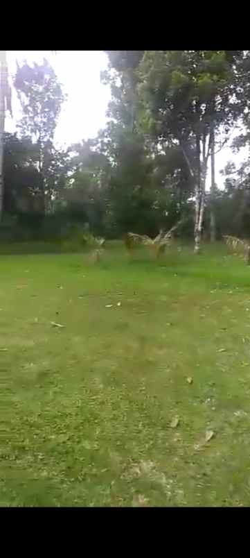 dijual tanah sagalaherang subang