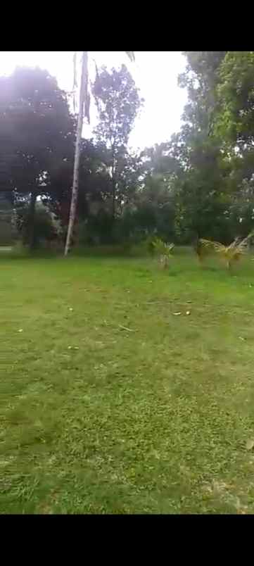 dijual tanah sagalaherang subang