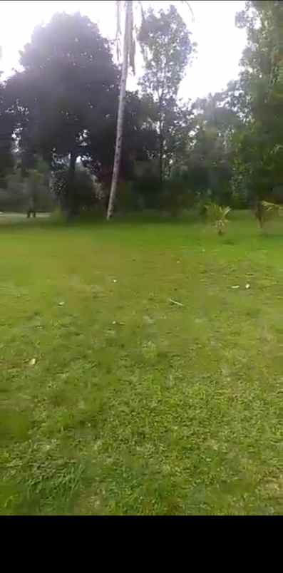 dijual tanah sagalaherang subang