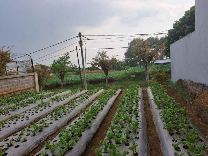 dijual tanah siap bangun setiabudi regency bandung