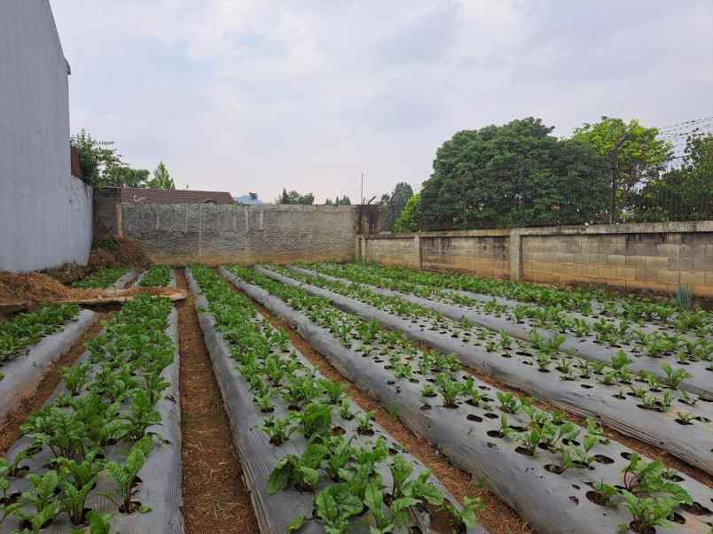dijual tanah siap bangun setiabudi regency bandung