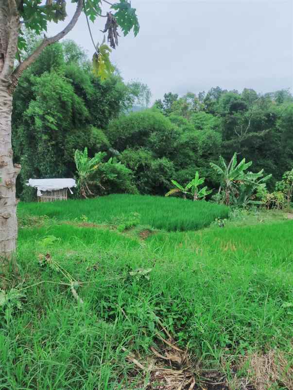 dijual tanah sindanglaya bandung