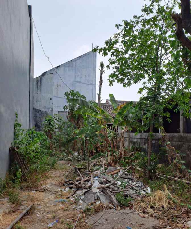 dijual tanah sleman