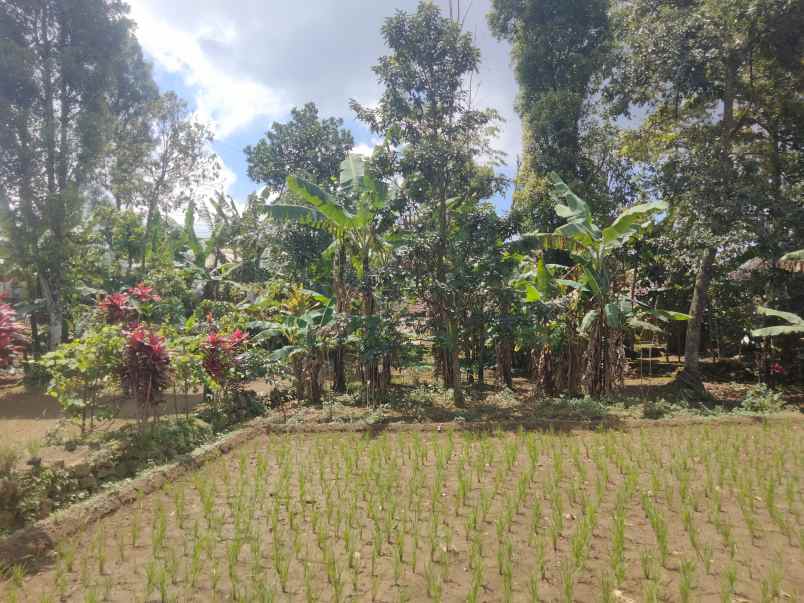 dijual tanah strategis di linggarjati kuningan