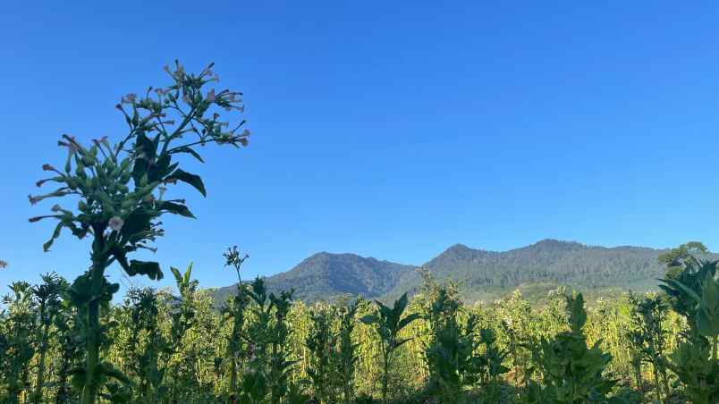 dijual tanah sumedang selatan