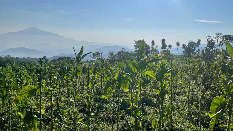 dijual tanah sumedang selatan