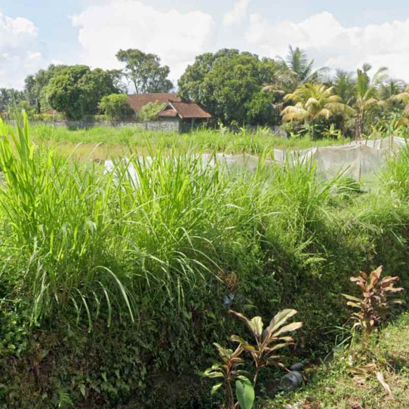 dijual tanah tampaksiring