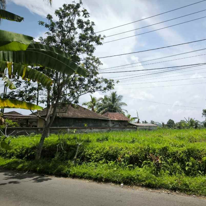 dijual tanah tampaksiring
