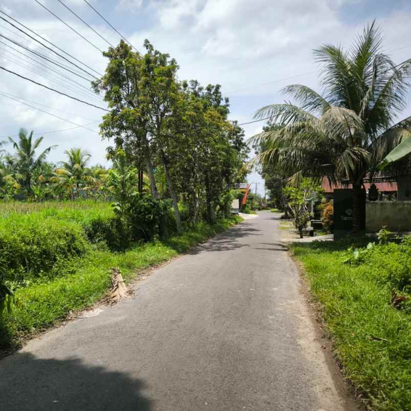 dijual tanah tampaksiring