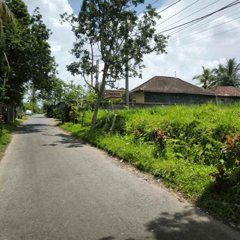 dijual tanah tampaksiring