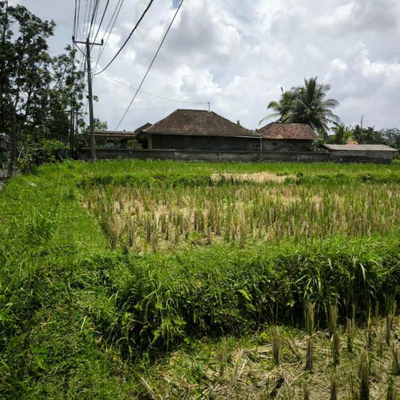 dijual tanah tampaksiring