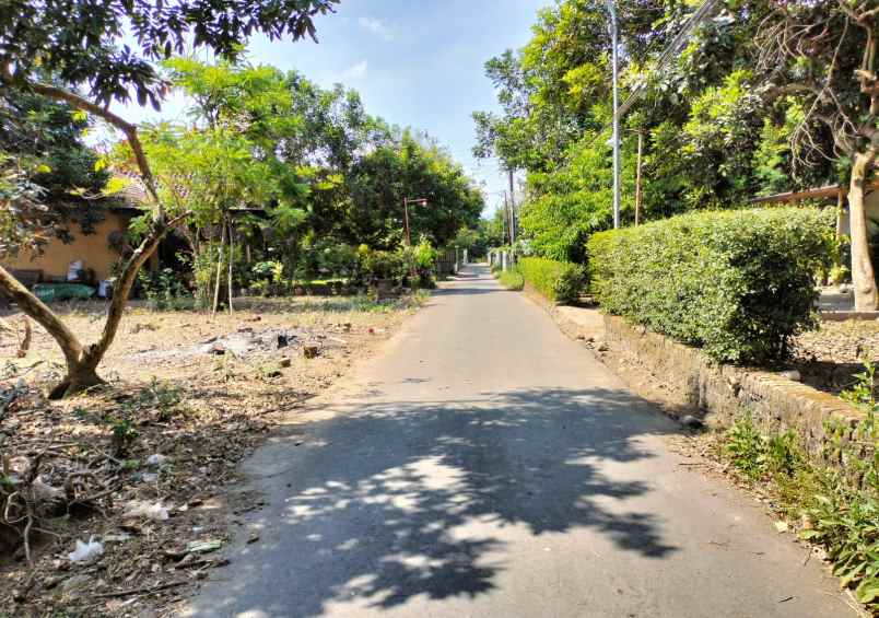 dijual tanah tegal tirto
