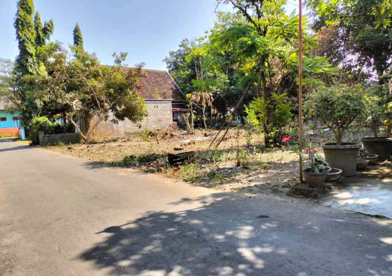 dijual tanah tegal tirto